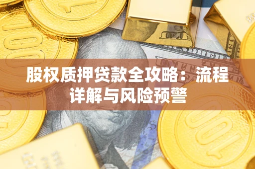 武汉股权质押贷款全攻略：流程详解与风险预警