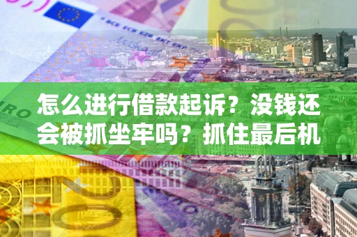 武汉怎么进行借款起诉？没钱还会被抓坐牢吗？抓住最后机会！