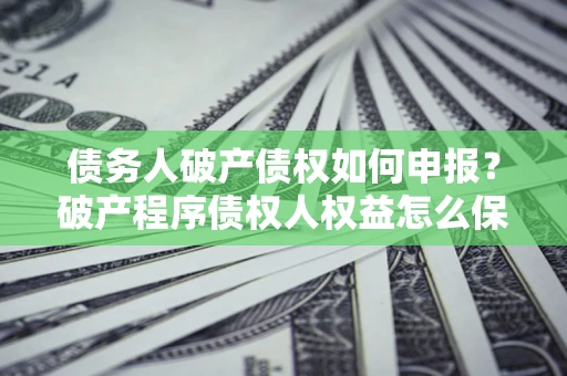 武汉债务人破产债权如何申报？破产程序债权人权益怎么保障？