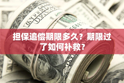 武汉担保追偿期限多久？期限过了如何补救？