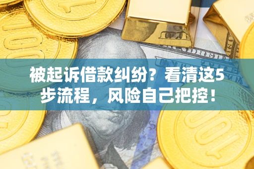 武汉被起诉借款纠纷？看清这5步流程，风险自己把控！