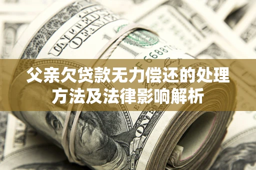 武汉父亲欠贷款无力偿还的处理方法及法律影响解析