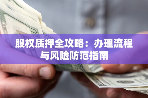 武汉股权质押全攻略：办理流程与风险防范指南
