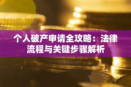 武汉个人破产申请全攻略：法律流程与关键步骤解析