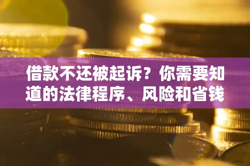 武汉借款不还被起诉？你需要知道的法律程序、风险和省钱技巧